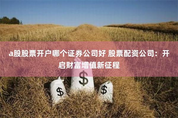 a股股票开户哪个证券公司好 股票配资公司：开启财富增值新征程